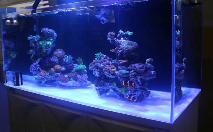 超白玻璃魚(yú)缸